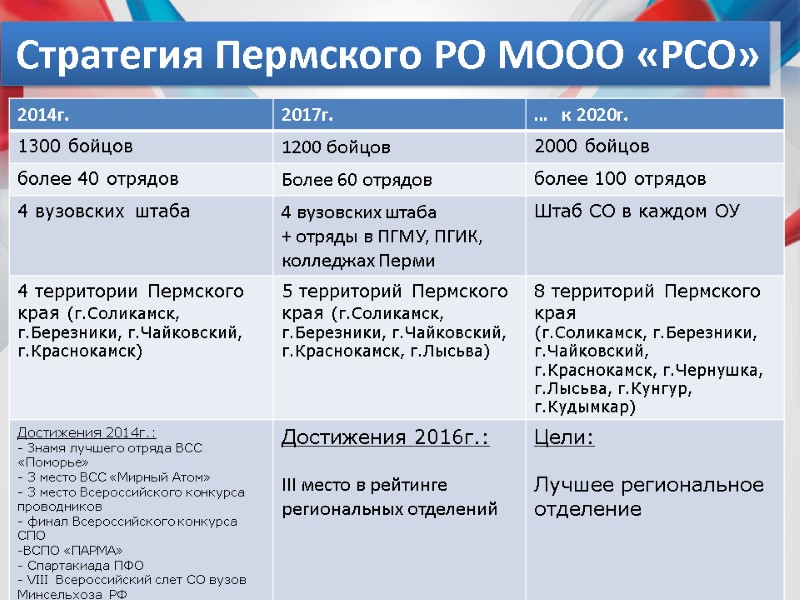 Стратегия Пермского РО МООО «РСО»